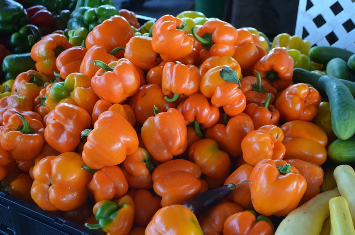 Capsicum annuum | Orange Bell Pepper | Robinson Florists