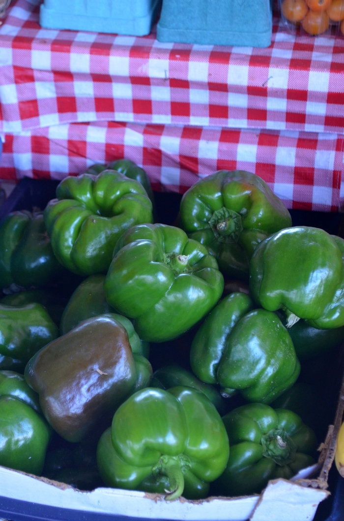 Green Bell Pepper - Capsicum annuum from Robinson Florists