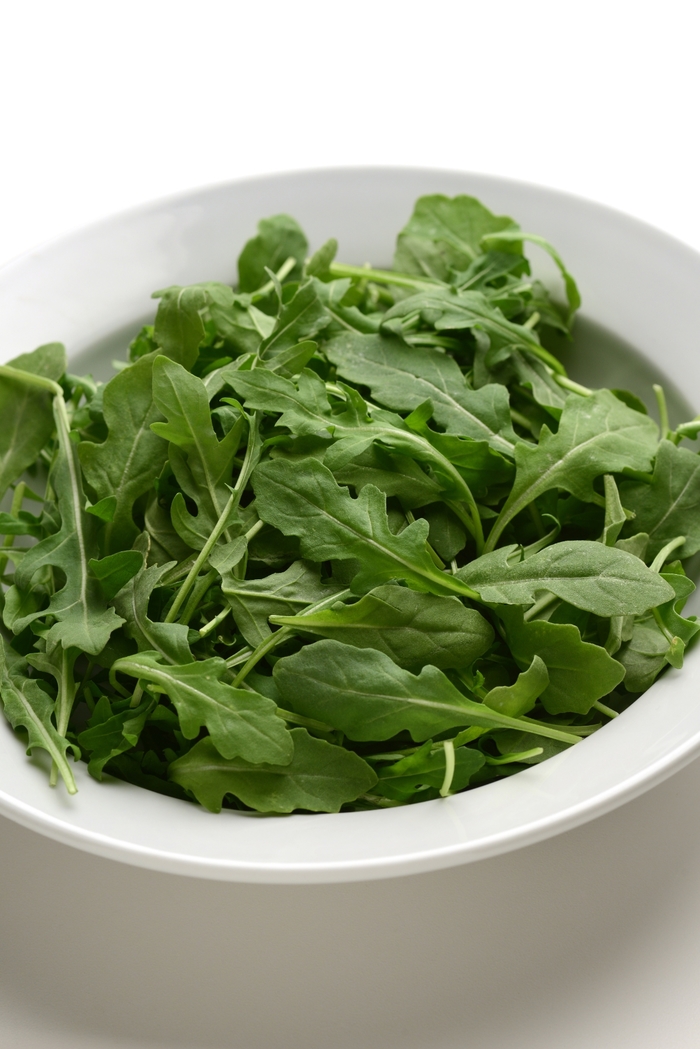 Arugula - Arugula sativa from Robinson Florists