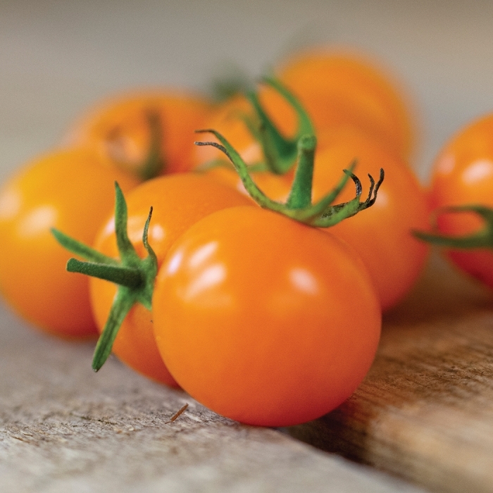 'Sun Sugar' Cherry Tomato - Lycopersicon esculentum from Robinson Florists