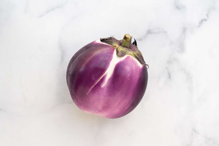 'Black Beauty' Eggplant - Solanum melongena from Robinson Florists