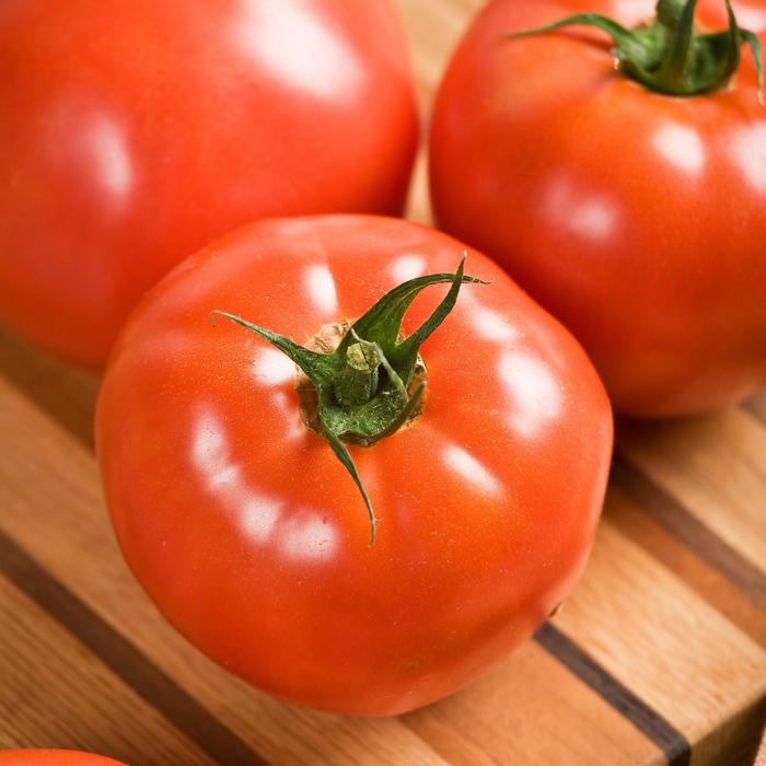 'Celebrity' Tomato - Lycopersicon esculentum from Robinson Florists