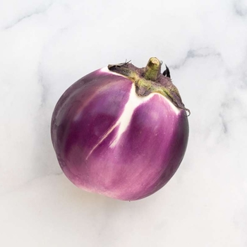 'Black Beauty' Eggplant -Solanum melongena