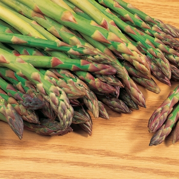 'Mary Washington' -Asparagus officinalis